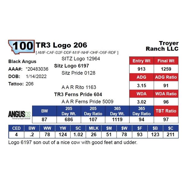 TR3 Logo 206