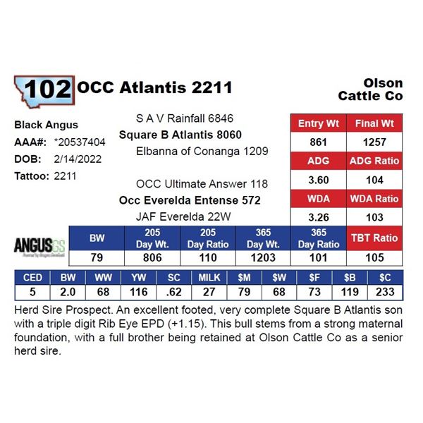 OCC Atlantis 2211