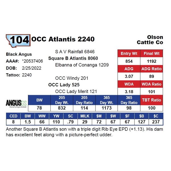 OCC Atlantis 2240