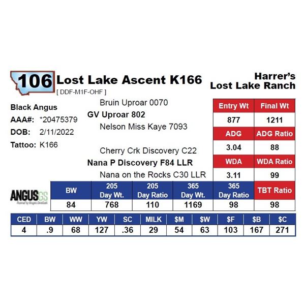 Lost Lake Ascent K166