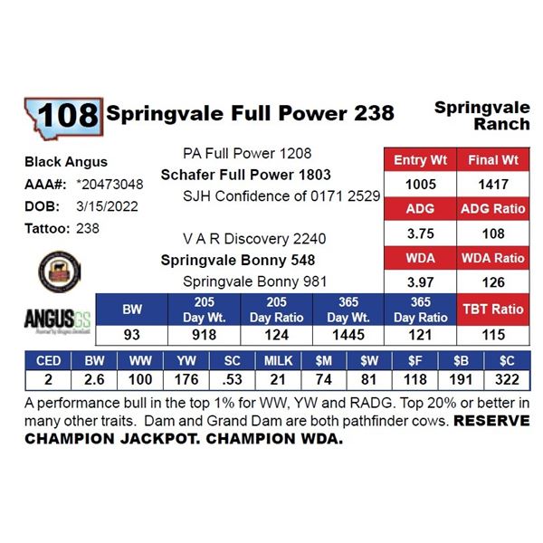 Springvale Full Power 238