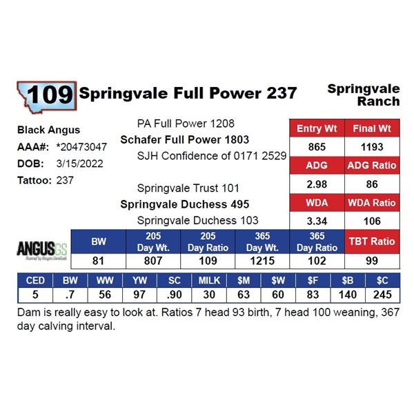 Springvale Full Power 237
