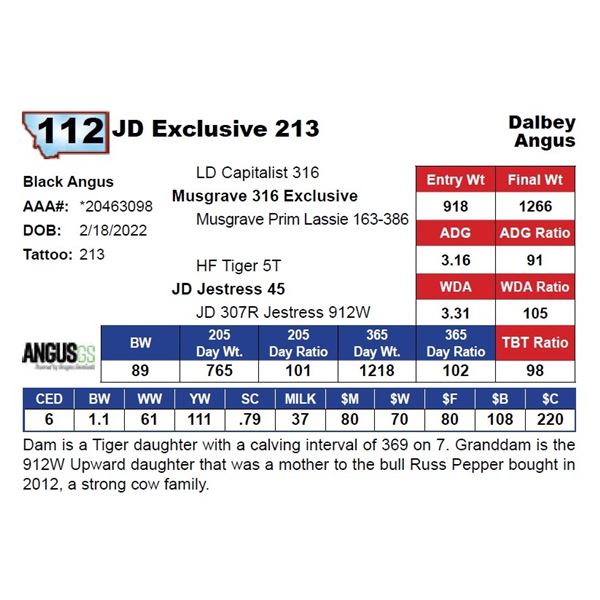JD Exclusive 213