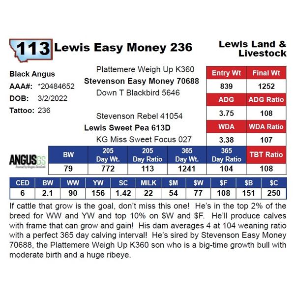 Lewis Easy Money 236