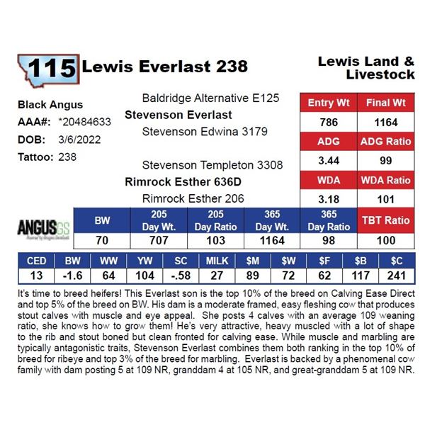 Lewis Everlast 238
