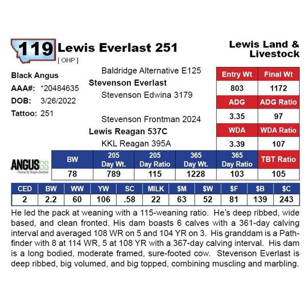 Lewis Everlast 251