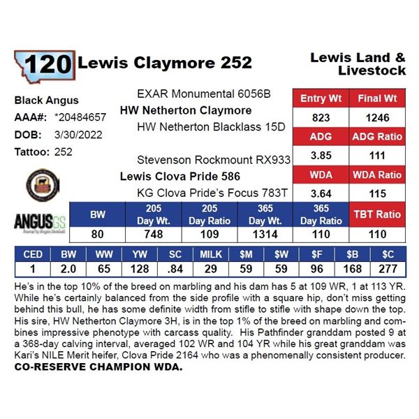 Lewis Claymore 252