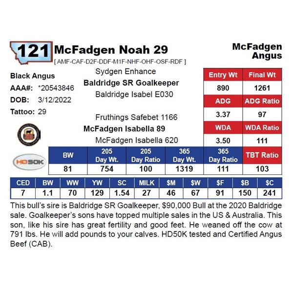 McFadgen Noah 29
