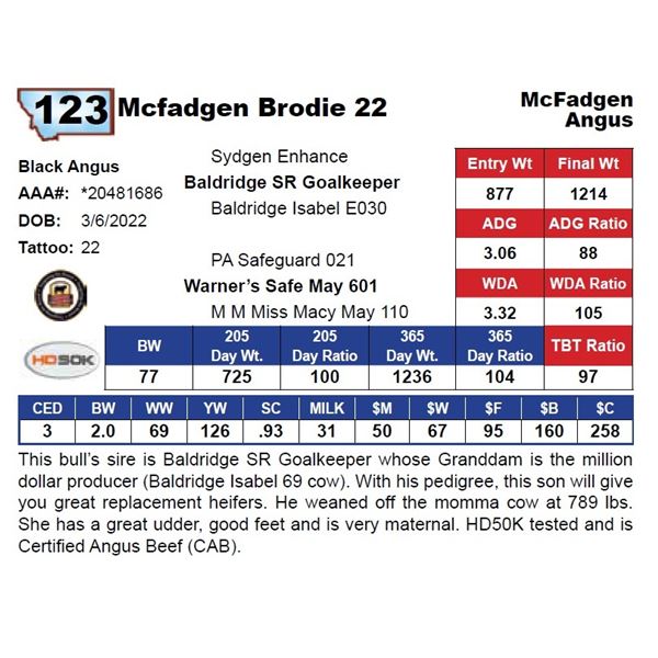 Mcfadgen Brodie 22