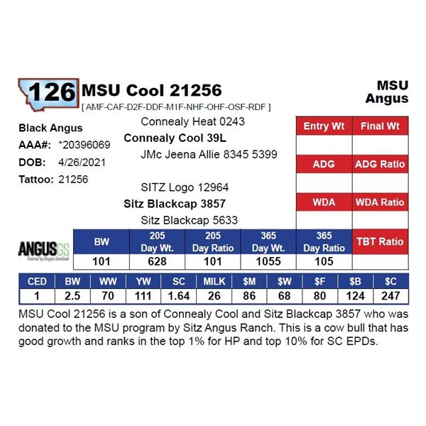 MSU Cool 21256
