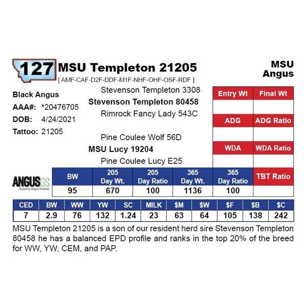 MSU Templeton 21205