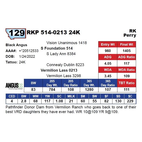 RKP 514-0213 24K