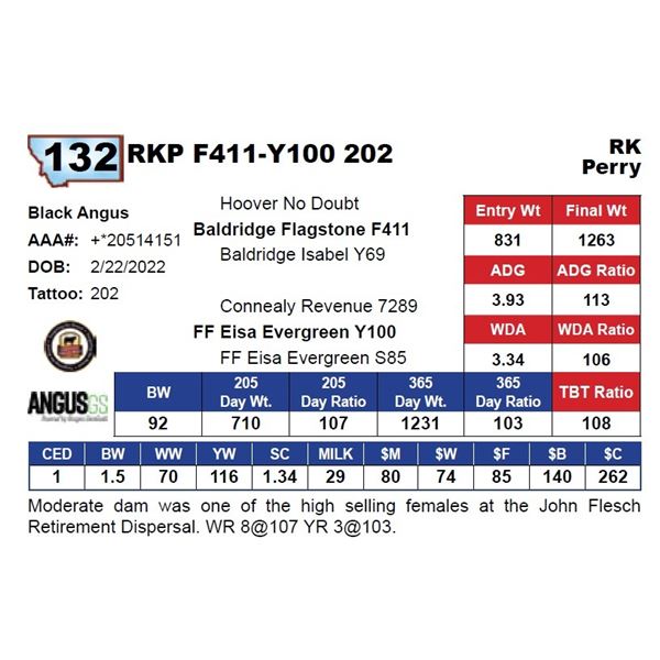 RKP F411-Y100 202