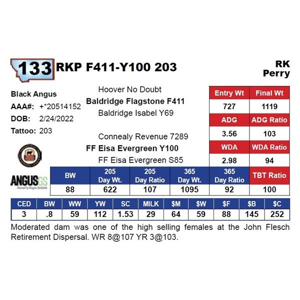 RKP F411-Y100 203