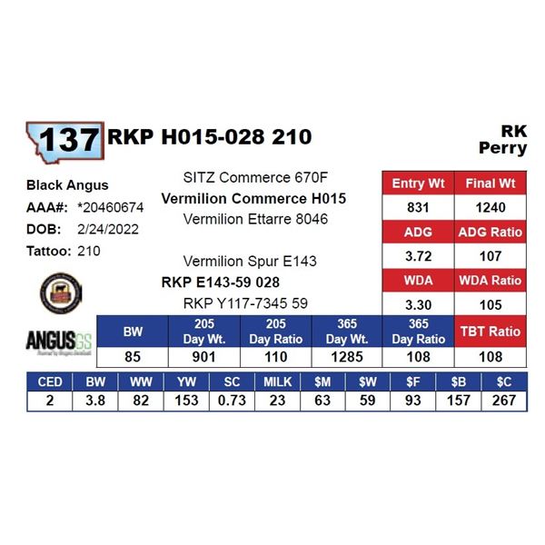 RKP H015-028 210