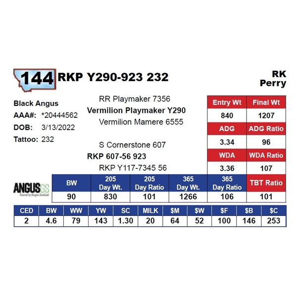 RKP Y290-923 232