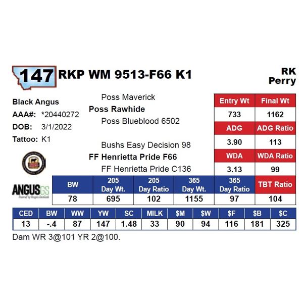RKP WM 9513-F66 K1