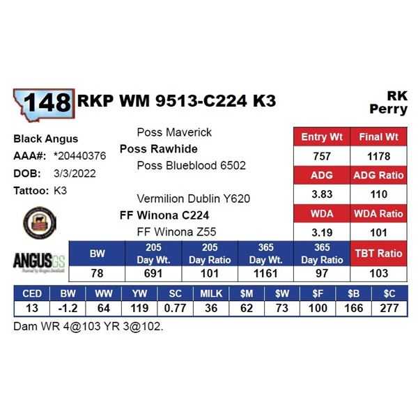 RKP WM 9513-C224 K3