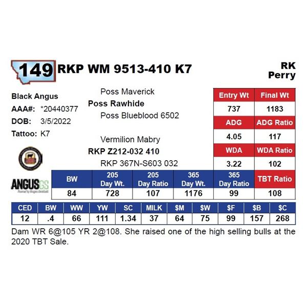 RKP WM 9513-410 K7