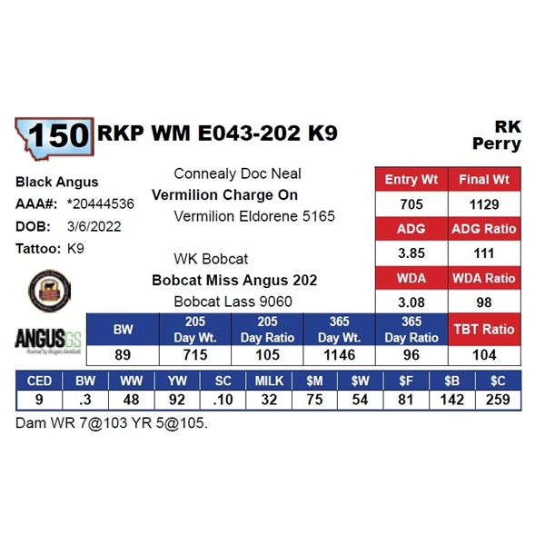 RKP WM E043-202 K9