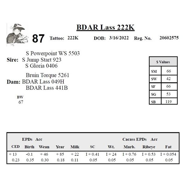 BDAR Lass 222K - Herd Unit #1