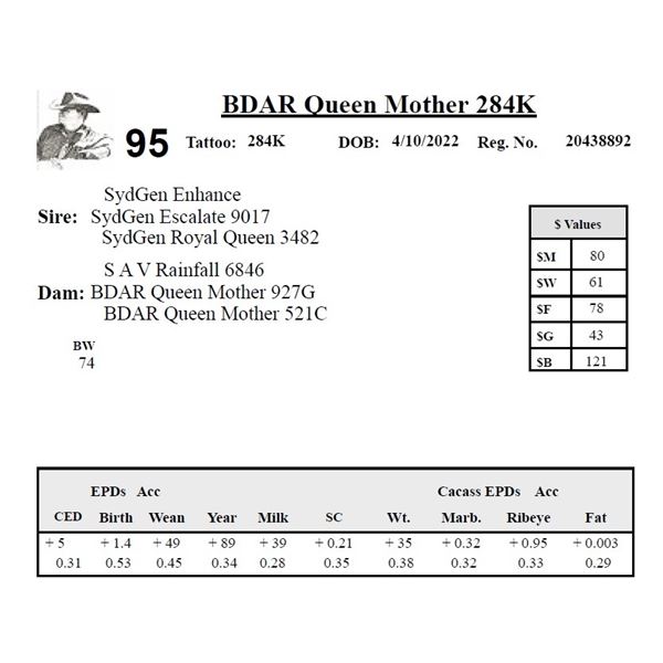 BDAR Queen Mother 284K - Herd Unit #2