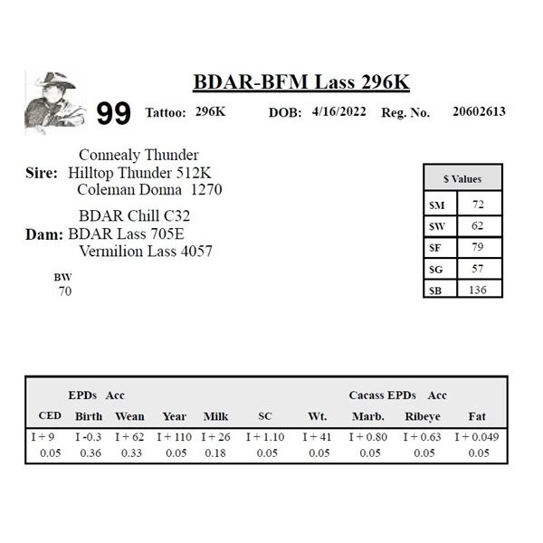 BDAR-BFM Lass 296K - Herd Unit #3