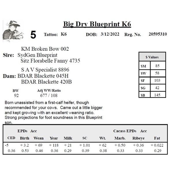 Big Dry Blueprint K6