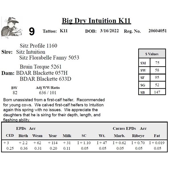 Big Dry Intuition K11