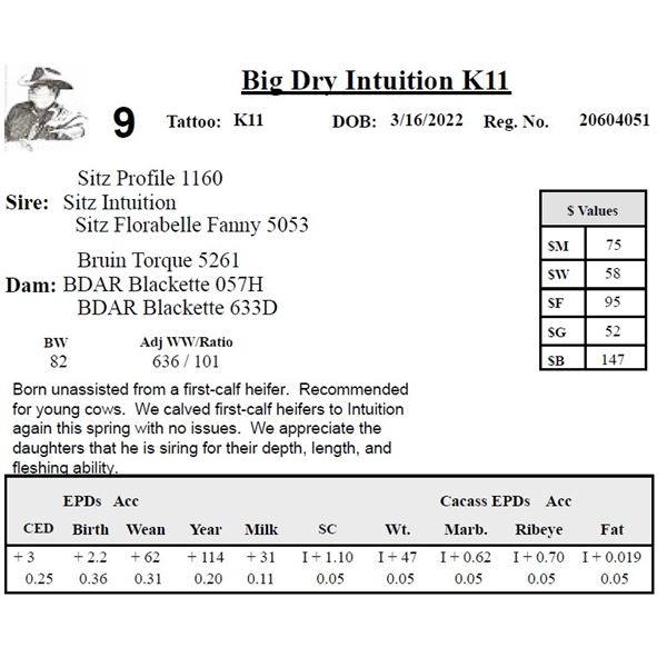 Big Dry Intuition K11