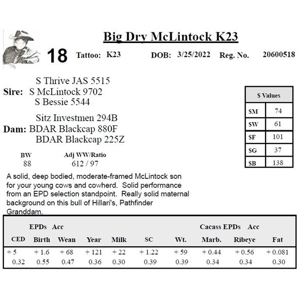 Big Dry McLintock K23