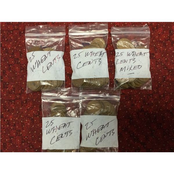 Attic Found Collection of Unsearched US Wheat Pennies