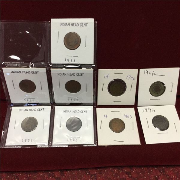 Attic Found Lot Of Indian Head Pennies