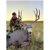 Image 2 : 6-Day 1x1 Guided Archery Mule Deer Hunt