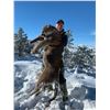 Image 2 : 5-Day Arizona Mountain Lion Hunt