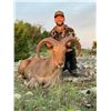 Image 2 : 3-Day Southwest Free Range Texas Aoudad Hunt