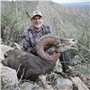 Image 2 : 10 Day Free Range Desert Sheep Hunt in Sonora, Mexico