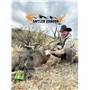 Image 2 : 5-Day Arizona Coues or Mule Deer Hunt for 2 Hunters