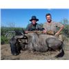 Image 2 : 7-Day Namibia Hunt for 3 Hunters (1 Oryx and 1 Warthog)