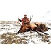 Image 2 : 5-Day Montana Elk Hunt