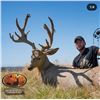 Image 8 : 5-Day Nebraska Mule Deer/Antelope Combo Archery Hunt