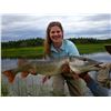 Image 8 : 6-Day Alaska Fishing Trip at Lake Clark