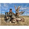 Image 2 : 8-Day Alberta Archery Mule Deer Hunt