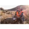 Image 2 : 5-Day Eastern Montana Whitetail or Mule Deer Plus Antelope Hunt