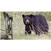 Image 2 : 5-Day Spring Archery Black Bear Hunt for 2 Hunters and 2 Non-Hunting Guests