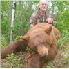 Image 2 : 5-Day Canadian Black Bear Hunt in the Duck Mountain Area