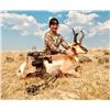 Image 2 : 4-Day Wyoming Antelope Hunt Exclusive Pope & Young Week