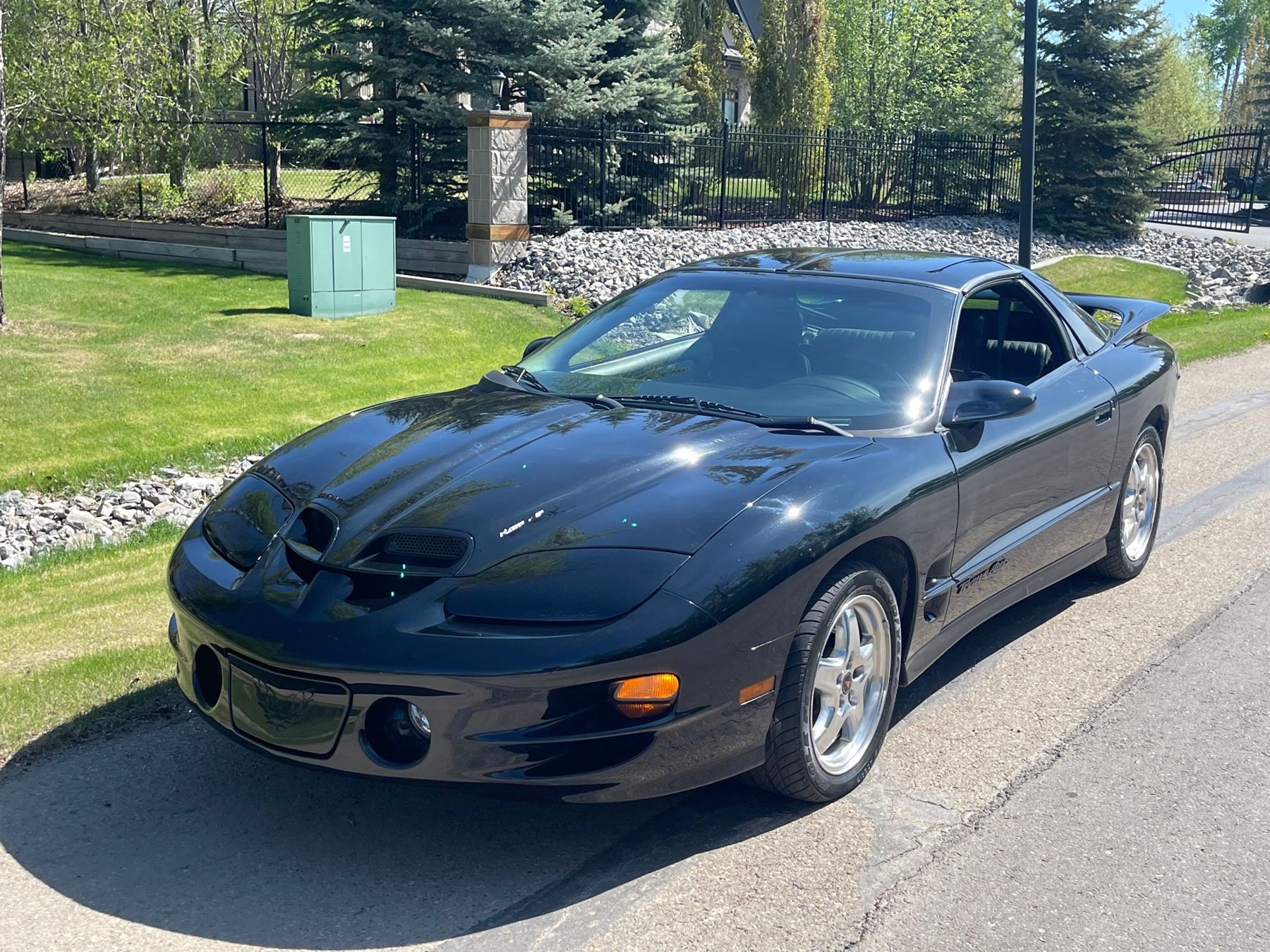 Ws6 Vector 2002 PONTIAC TRANS AM WS6