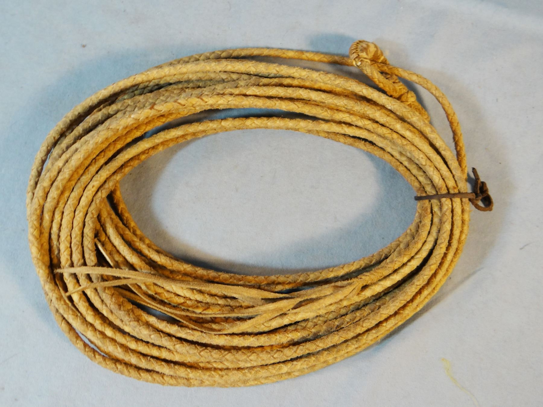 Rawhide riata, 42', shows that it has been used, hondo intact