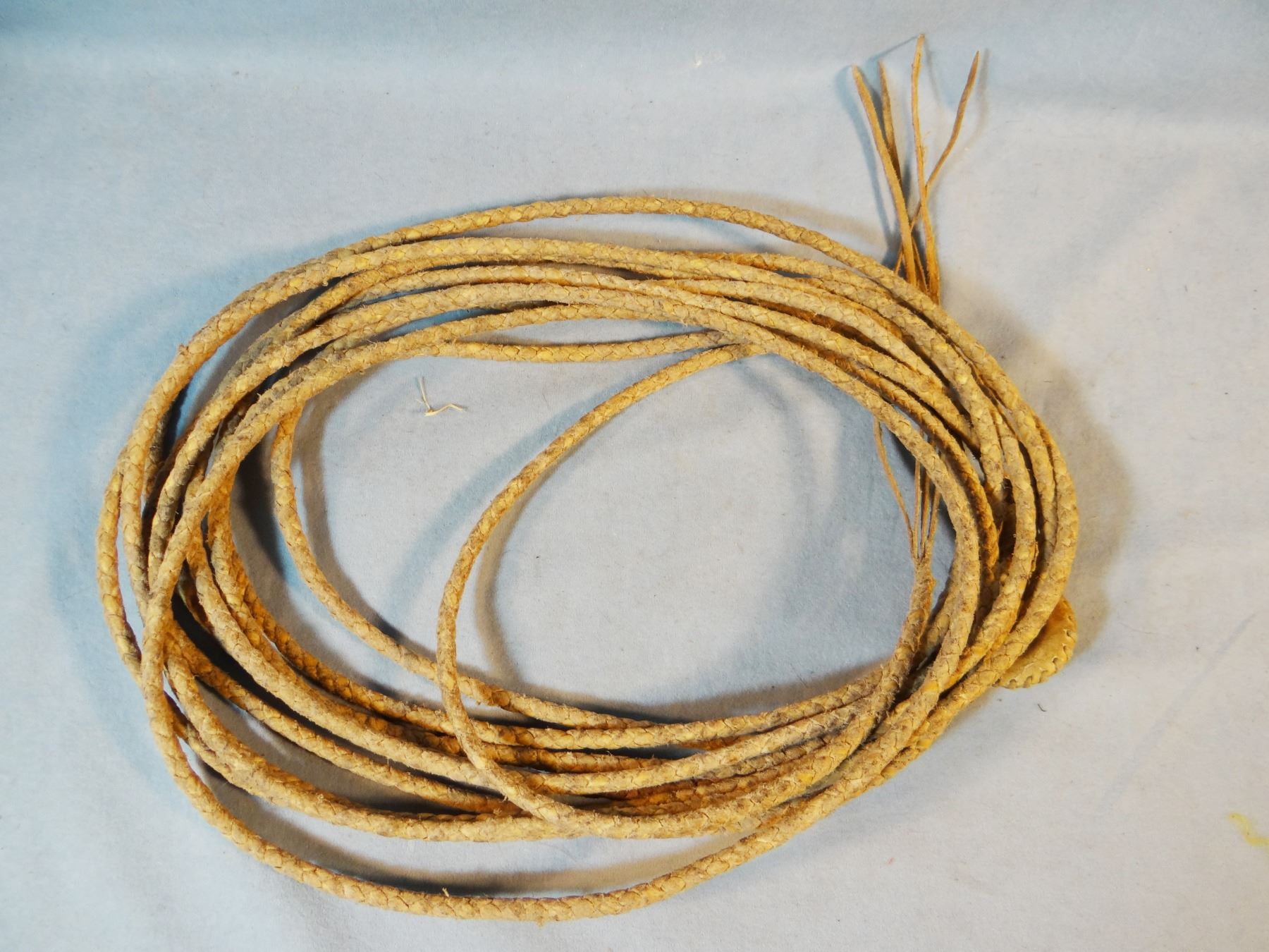 Rawhide riata, 32', shows that it has been used, hondo leather covered